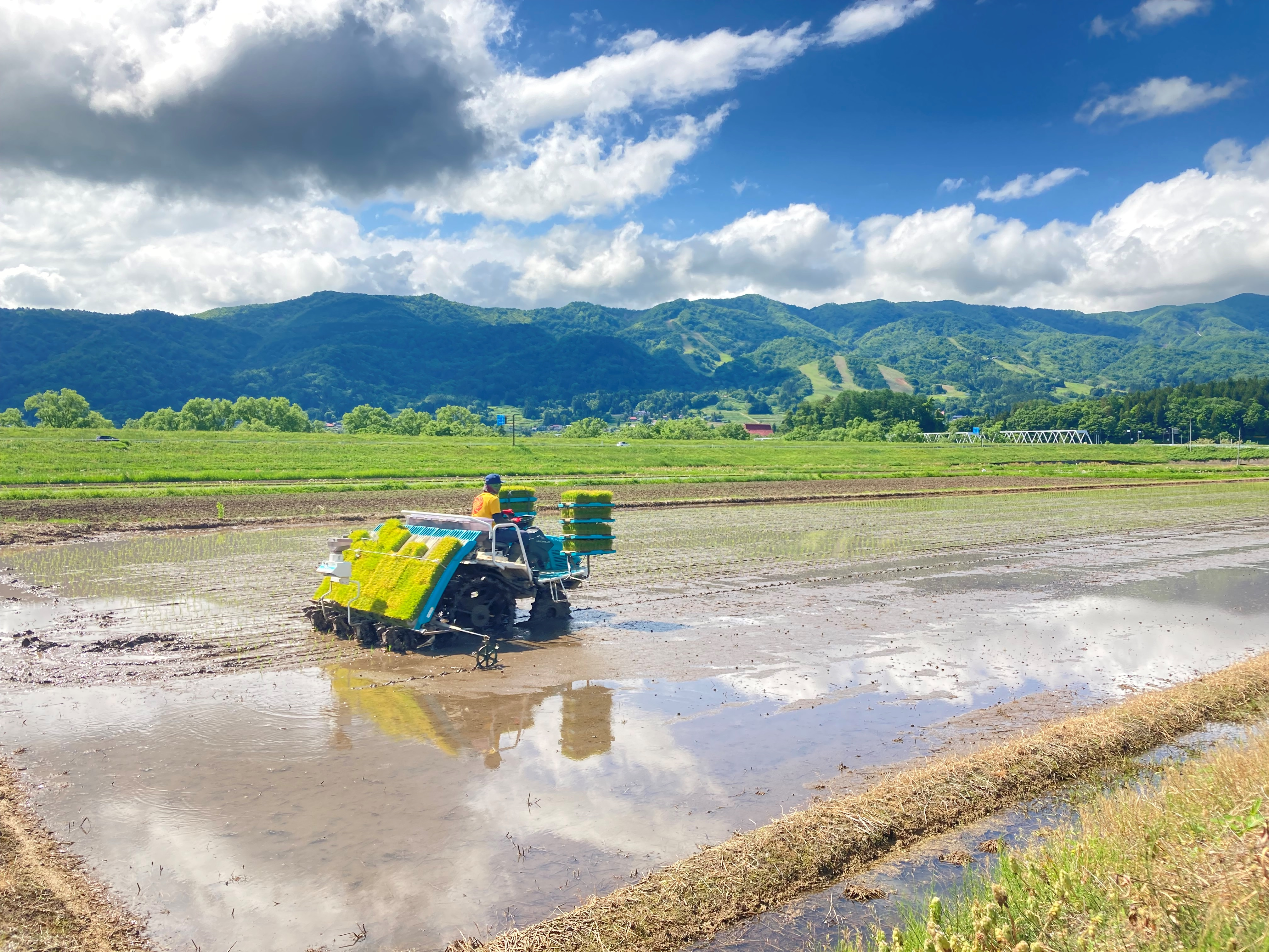 いいやまの田植え作業の景色