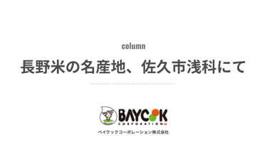 長野米の名産地、佐久市浅科にて。『五郎兵衞用水』の先人と新規就農した青年｜ベイクックの長野米コラム