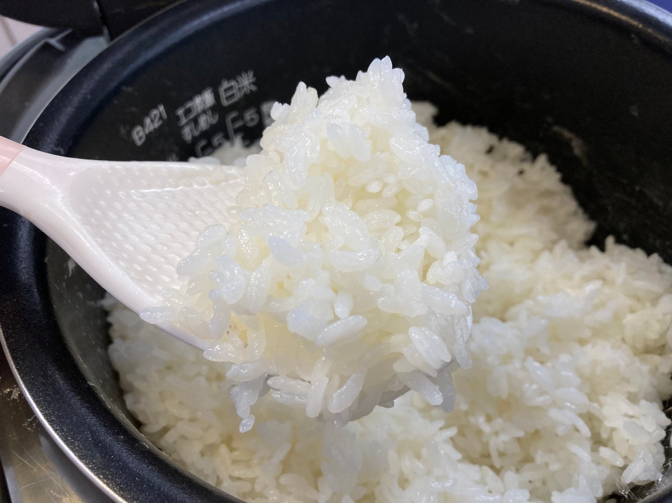 白米 粒状 滑らか（米の豆知識 美味しいご飯・土鍋ごはんの炊き
