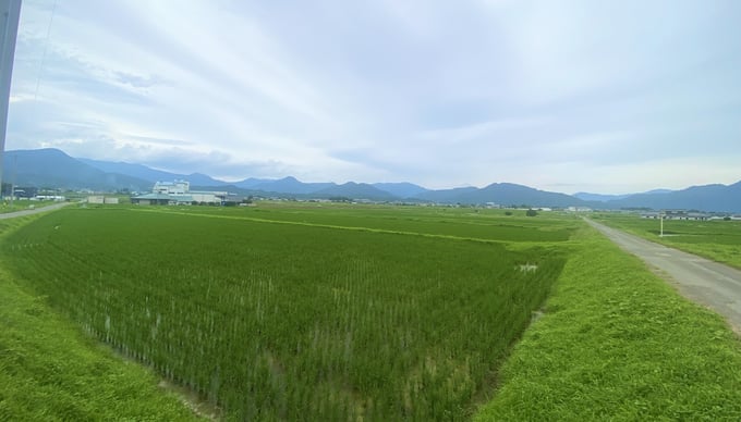 上田こしひかり_塩田平
