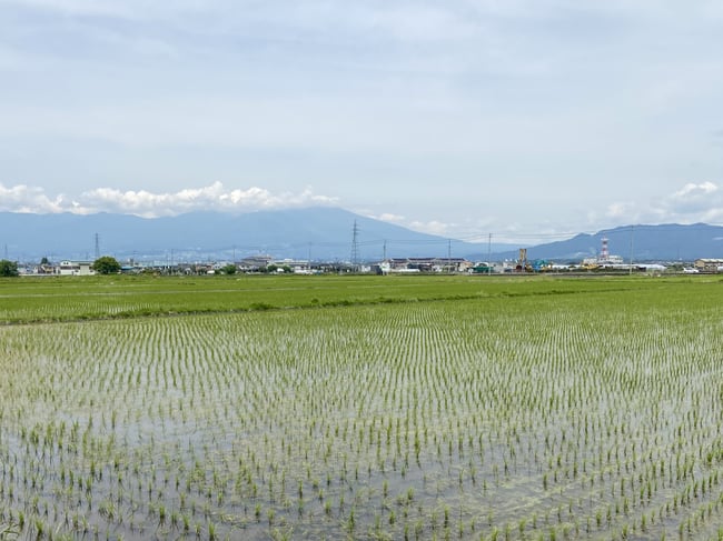 佐久地区_野沢中込地域