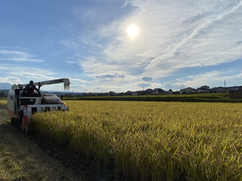 五郎兵衛米こしひかり(長野県佐久市浅科産) 五郎兵衛米こしひかり(長野県佐久市浅科産)