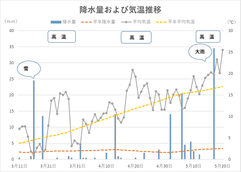 R7作付け-1