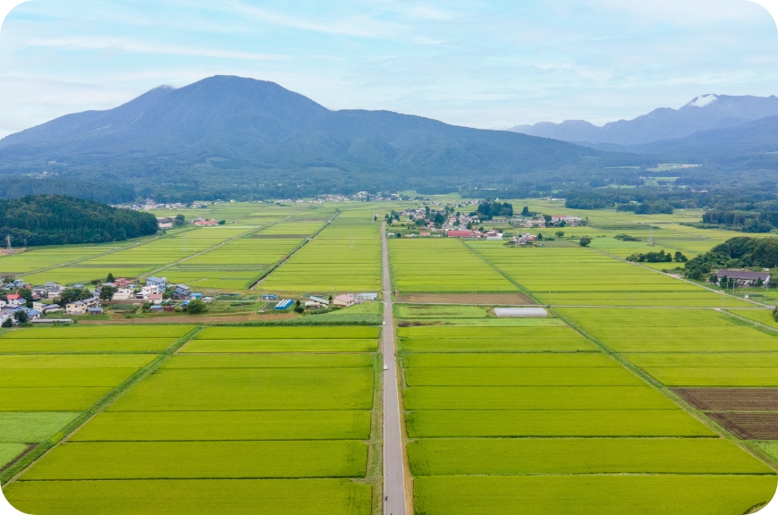 沿革のリンク画像