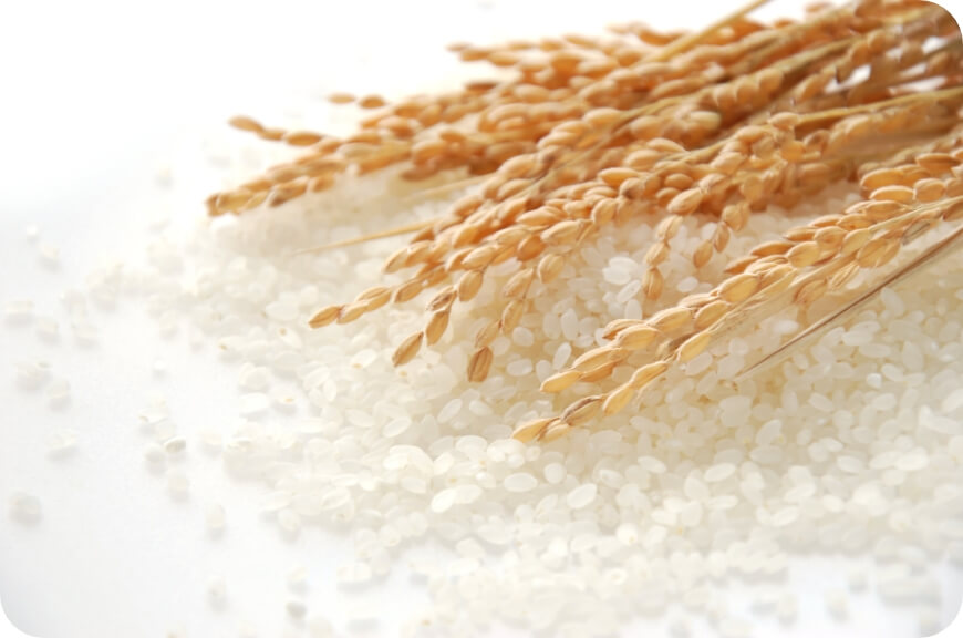 精米・玄米商品のリンク画像