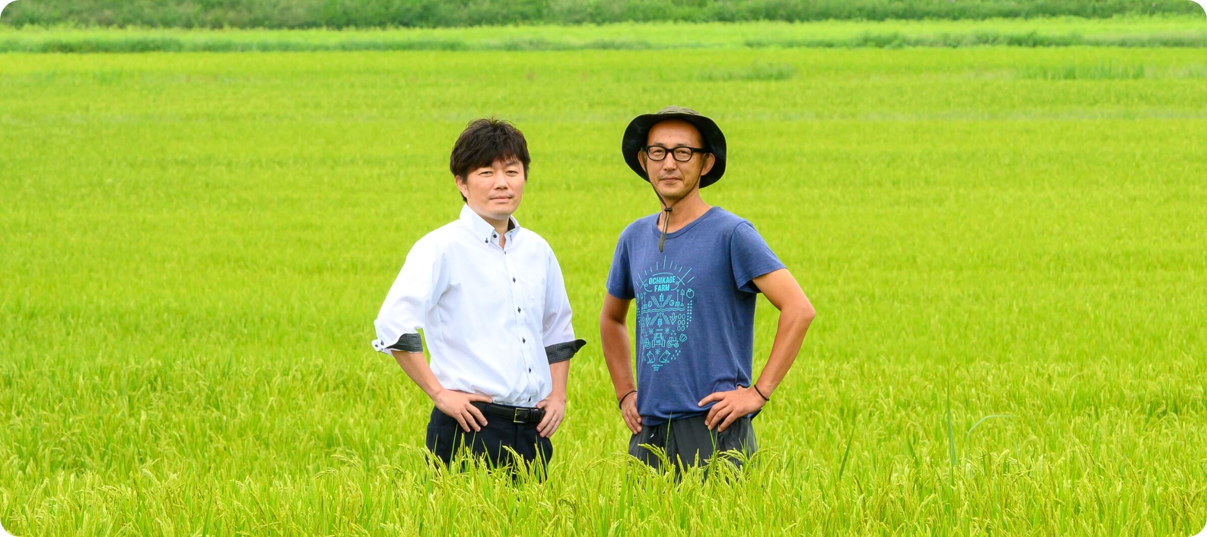 おいしい長野米を届けるベイクックの特長