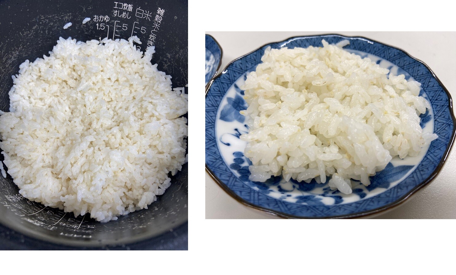 ママちゃん　7分搗き精米 玄米食が苦手な方にもおすすめ！「分づき米」で毎日のごはんに新たな 米・雑穀・粉類
