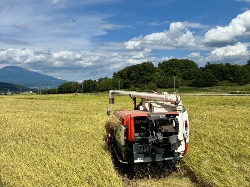 令和7年産米】長野県内収穫作業真っ只中！稲刈りから玄米調整
